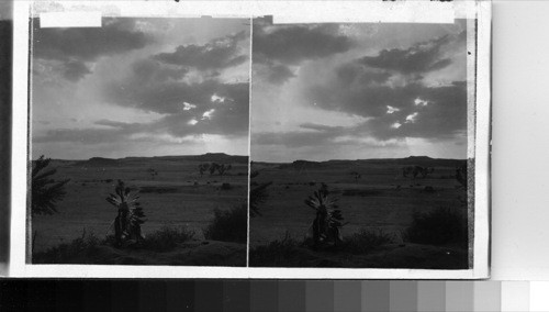 Evening on the desert - Navaho Indian Reservation, Arizona