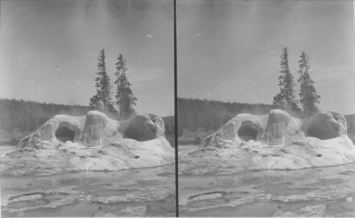 Striking Cone of the Grotto Geyser Showing its Several Steam Vents. Yellowstone National Park