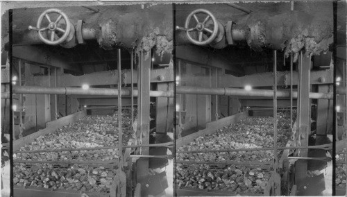Shaking Screen Sizing Pea Coal, Scranton, Pa
