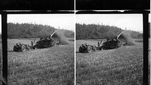 Harvesting the Frazer River Valley - threshing oats - Chilliwack - B.C. Canada