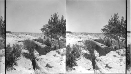 Petrified Log Bridge, Petrified Forest National Monument