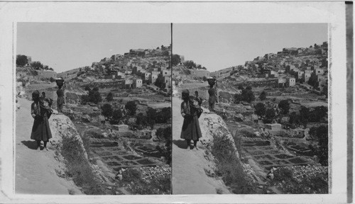 The village of Siloam near Jerusalem, Palestine