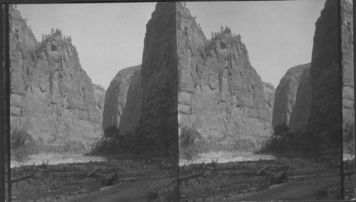 Looking Toward Entrance to Narrows. Zion National Park. Utah