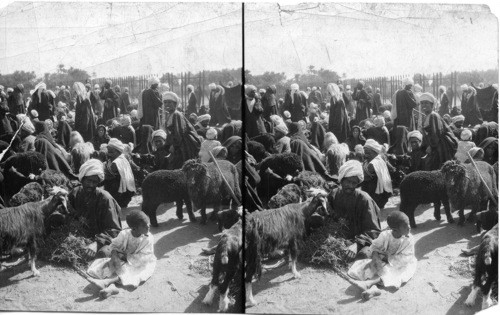 Market scenes in Omdurhman (near Khartoum) Lower Sudan