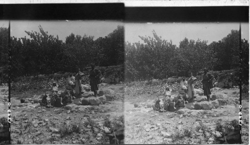 Women at the Spring road to Damascus, Palestine