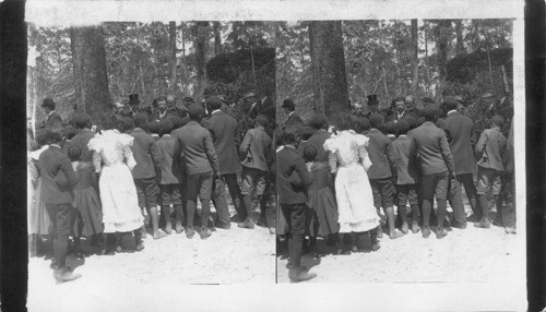 Roosevelt. Little Negro tea pickers singing Pickaninny Songs for President Roosevelt, Pinehurst Tea Farm, Summerville, S. Carolina