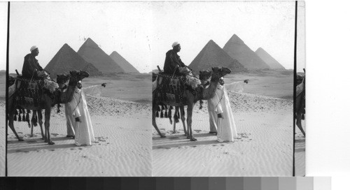 The edge of the desert. Guide looking over Nile valley. Gizeh. Egypt