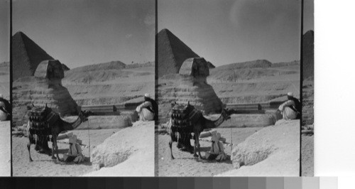 The beouin guides at Giza, Egypt