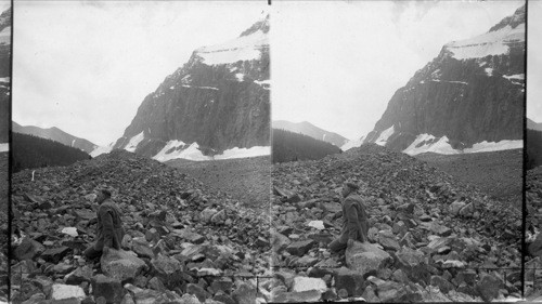 The mighty pile of rock pushed down from the Ghost Glacier between Mt. Edith Cavell and Mt. Sorrow. Canada. Alta