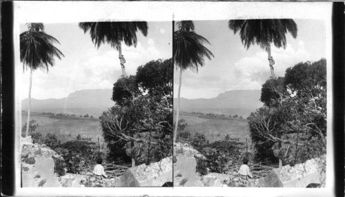 The picturesque Vive plantation (Clerc Estate) S.W. to steaming Mont Pelee. Martinique