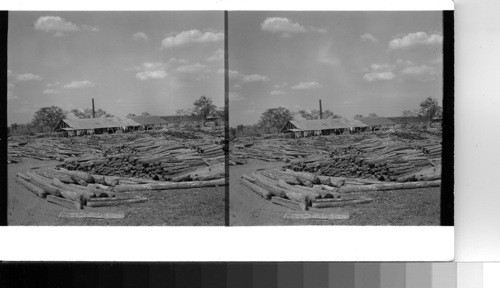 Cuba - Province of Oriente - Bartle: Lumber mill in the extreme western part of the province - mahogany logs piled up awaiting the saw