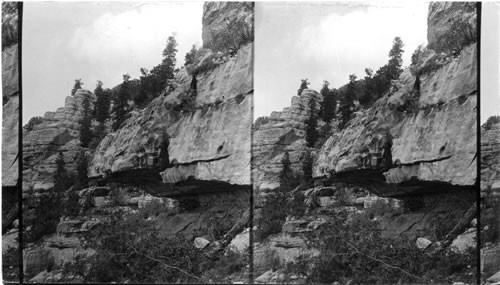 Cliff dwelling in the Transept. near Bright Angel Point. Ariz