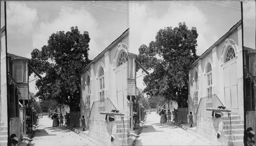 Under the Tamarind Tree. Bridgetown. Barbados