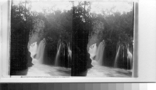 Falls from Bridge of the Gods, Tamasopo Canyon. Mexico