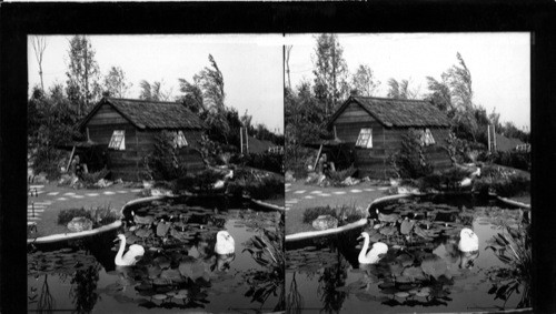 The Old Mill Garden, Horticulture Exhibit, A Century of Progress, Chicago, 1933