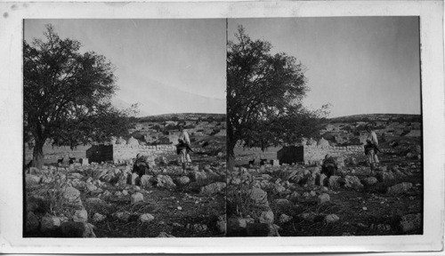 The Village of Emmaus from the ancient Cemetery