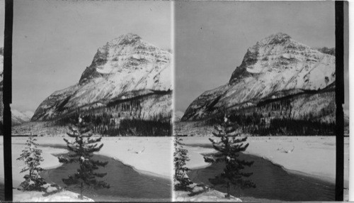 Mount Stephen and the Kicking Horse River Near Field, B.C., Canada