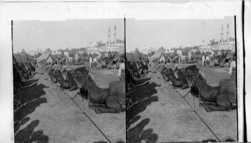 A caravan camp at old Damascus, Syria