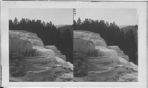 The Beautiful Cleopatra Terrace and Basins. Mammoth Hot Springs