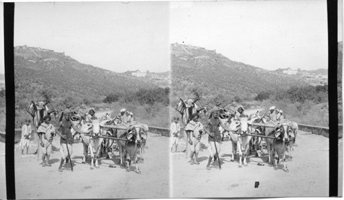 North toward old Palace of Amber, from road to Palace. India