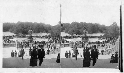 Terrace and Fountain. Central Park. N.Y. City