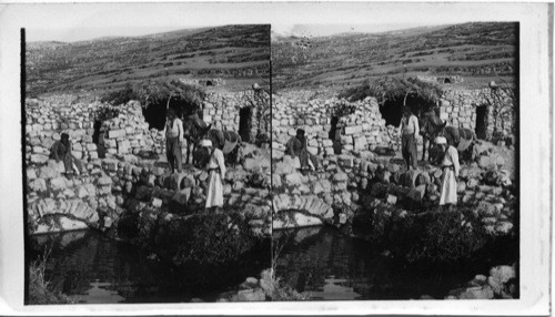 A wayside cistern between Jerusalem and Shechem - Palestine