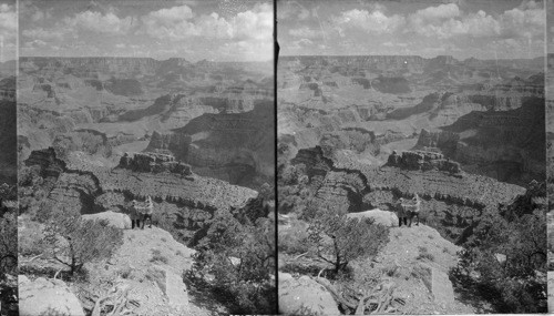 The sharp peak at right is Vishnu Temple and at left of it is Wotans Throne. This view connects with 48003. [1 of 220 similar Grand Canyon - Landscapes images]