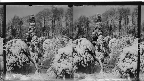 Fairyland in Winter, Victoria Park, Can