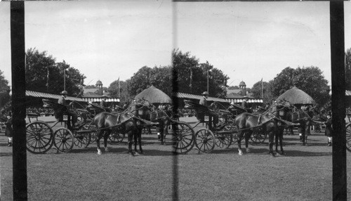 Among the Millionaires and Prize Winners, Great Horse Show, Newport, R.I