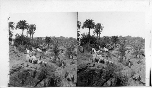 From Dilwarra Temple S. W. toward Mt. Abu. India