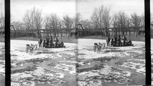 Esquimau Sledge and Dog Team, Worlds Fair