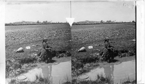 Native Girl washing clothes in the pool Plains of Sharon, Palestine