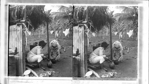 Native Women Preparing a Meal, Jamaica