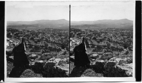 Hills and Fields of Judea, North form Bethlehem, Palestine