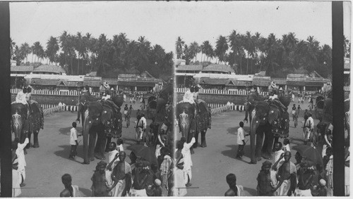 Festival of the Raft to the God Vishnu Madura, S. India