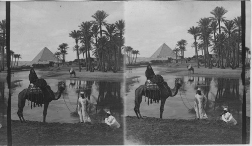 Wealth-bringing water of the Nile inundation - East of Pyramids, Egypt