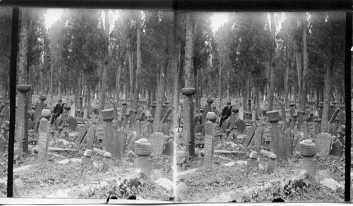 In the Great Turkish Cemetery. The Most Celebrated of Oriental Burial Grounds, at Skutari, on the Asiatic Shore. Constantinople. Turkey