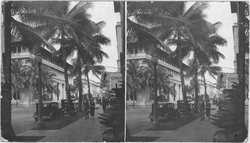 Bishop Street from the Dillingham Bldg. Honolulu