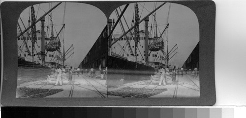 Buenaventura, Columbia S.A.: Loading coffee on a French freighter at the busy Pacific port of Buenaventura. 360 miles from Panama, Buenaventura is the first call south from the canal for many lines of ships