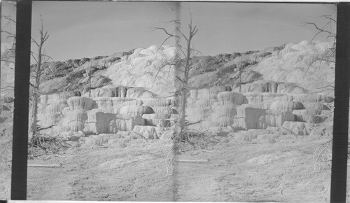 Pulpit Terrace, Yellowstone National Park