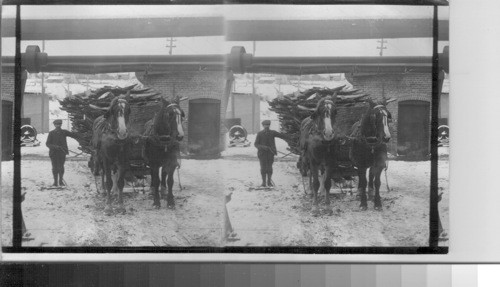 Hauling Hemlock Bark to Mill for Grinding. Can