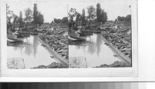 Freighting on the La Viga Canal in Mexico