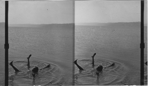 A negro floating in the Dead Sea, Palestine