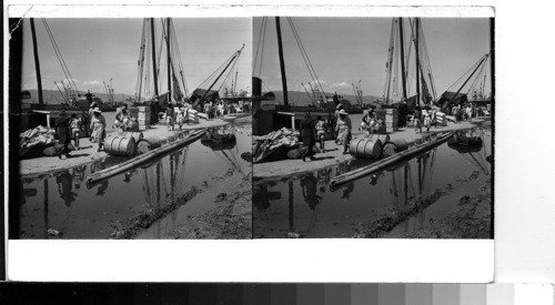 Haiti - Port-au-Prince: Harbor scene with the small schooners which ply [?] the waters of the island coast and also go back and forth between other West Indian Islands. Much of the shipping to and from Haiti is done by these small craft but some ocean going steamers and freighters put in at the deep water docks of Port-au-Prince. One of these can be seen in the background