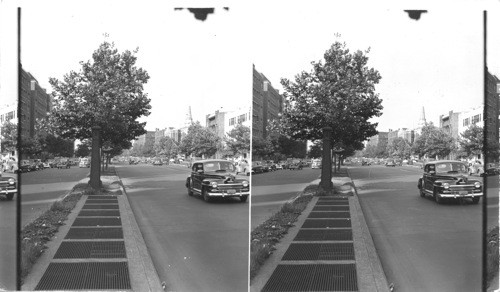 The Grand Concourse. Center line parkways provide shade trees and safety zone traffic lanes. Grating in foreground cover ventilation ducts for subway tubes