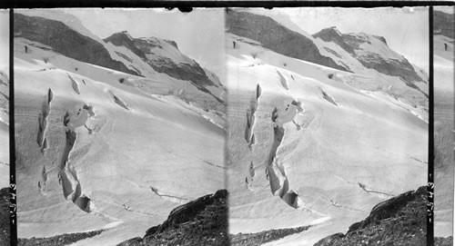 Where huge crevasses yawn - great snow covered upper Asulkan Glacier, Selkirks, B.C. Canada