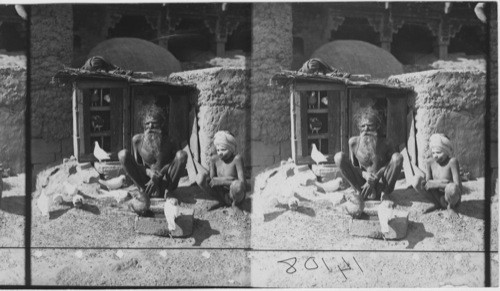 Hindu monk and his sacred pigeons, India