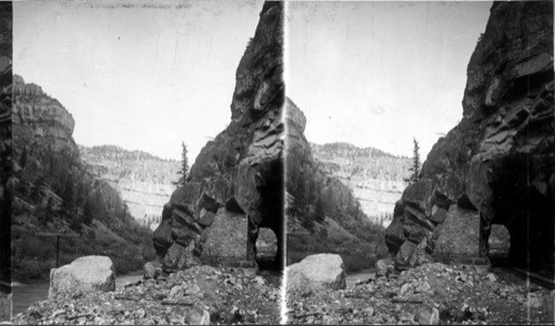 In the Canyon of the Grand along the D & R.G. RR., Colo