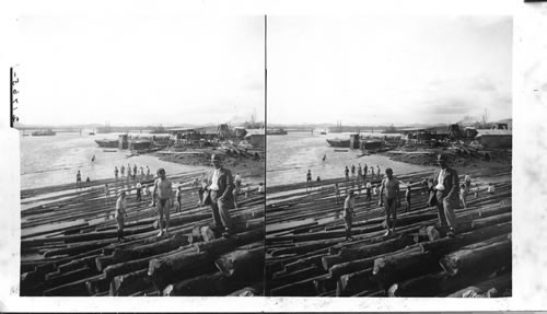 Laborers rafting spiles for Cofferdam, Balboa