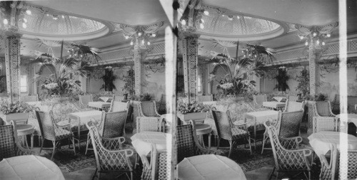 Palm Room on board the Kaiserin Augusta Victoria of the Hamburg-American Line. N.Y. City